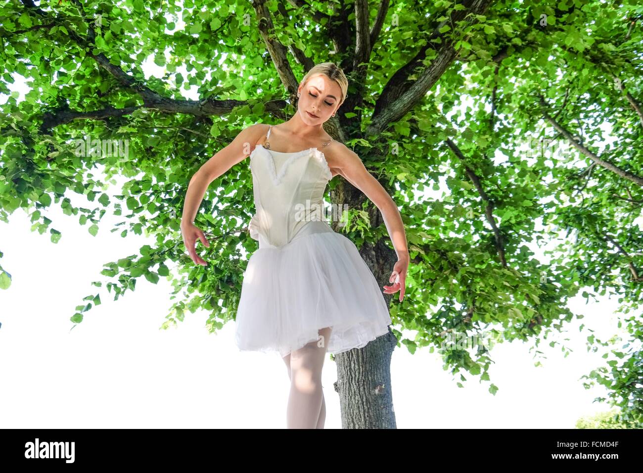 Ballerina dancing in nature Stock Photo Alamy
