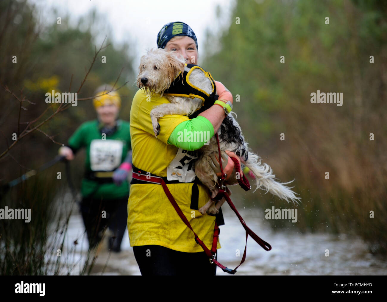 Aldershot, Hants, UK. 23rd January, 2016. Participants of the Brutal women only  10km canicross race at Long valley Aldershot Hampshire are forced to carry their dogs  and break the ice as the streams and puddles overflow due to the recent bad weather.  The recent weather made the Brutal 10km off road course live up to its name as the puddles and streams where up to waste height in many places with early runners having to break the ice as they entered the water.  Credit:  PBWPIX/Alamy Live News Stock Photo