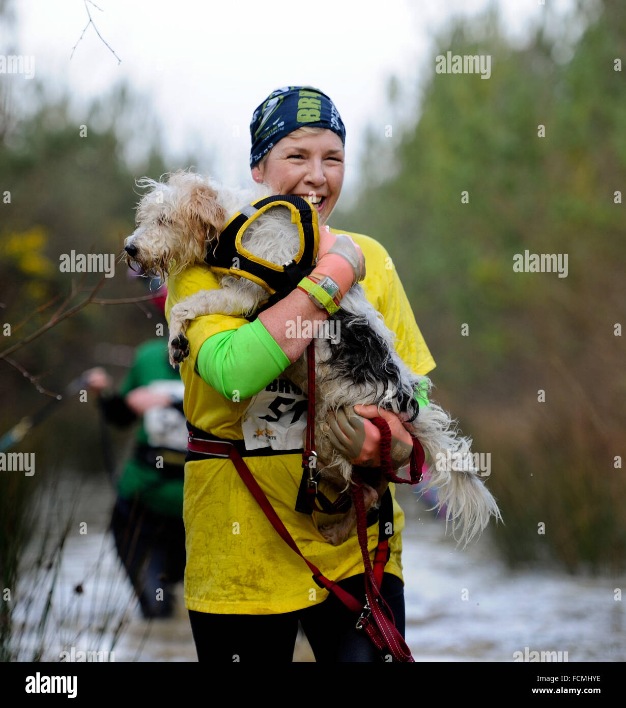 Aldershot, Hants, UK. 23rd January, 2016. Participants of the Brutal women only  10km canicross race at Long valley Aldershot Hampshire are forced to carry their dogs  and break the ice as the streams and puddles overflow due to the recent bad weather.  The recent weather made the Brutal 10km off road course live up to its name as the puddles and streams where up to waste height in many places with early runners having to break the ice as they entered the water.  Credit:  PBWPIX/Alamy Live News Stock Photo