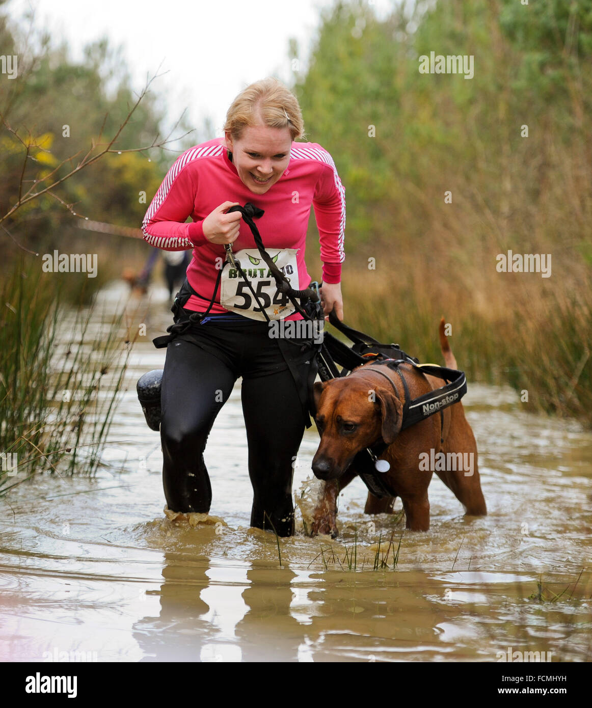 Aldershot, Hants, UK. 23rd January, 2016. Participants  struggle through the flooded streams of the Brutal women only  10km canicross race at Long valley Aldershot Hampshire having to break the ice as the make there way around the course .  The recent weather made the Brutal 10km off road course live up to its name as the puddles and streams where up to waste height in many places with early runners having to break the ice as they entered the water.  Credit:  PBWPIX/Alamy Live News Stock Photo