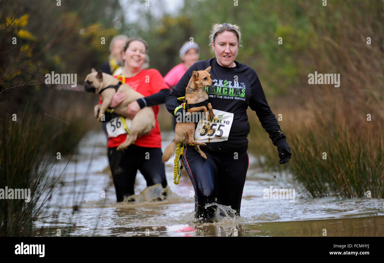 Aldershot, Hants, UK. 23rd January, 2016. Participants  struggle through the flooded streams of the Brutal women only  10km canicross race at Long valley Aldershot Hampshire having to break the ice as the make there way around the course .  The recent weather made the Brutal 10km off road course live up to its name as the puddles and streams where up to waste height in many places with early runners having to break the ice as they entered the water.  Credit:  PBWPIX/Alamy Live News Stock Photo