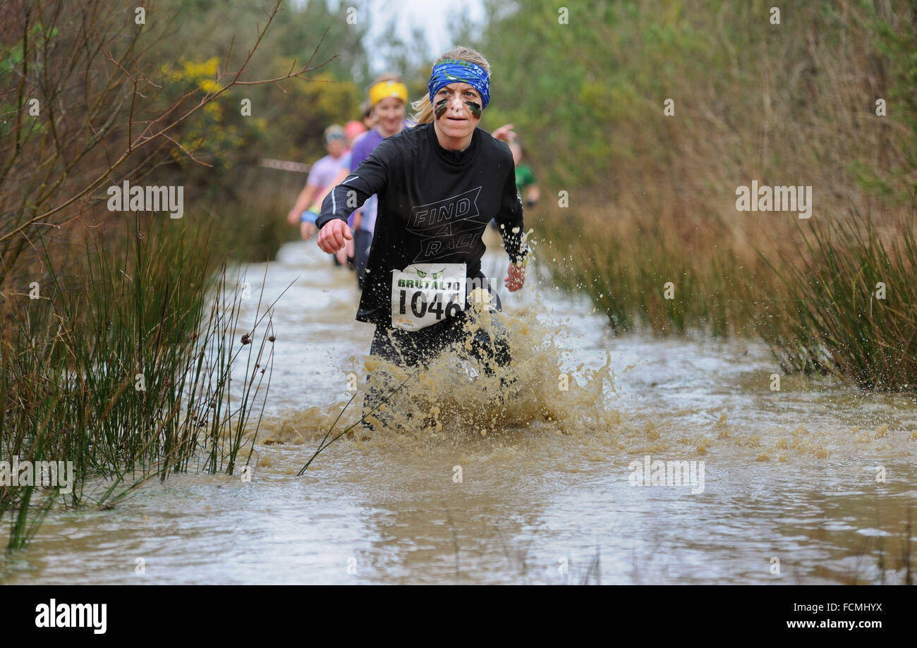 Aldershot, Hants, UK. 23rd January, 2016. Jeanette Stroier her there way through the flooded streams of the Brutal women only  10km  race at Long valley Aldershot Hampshire having to break the ice as the make there way around the course .  The recent weather made the Brutal 10km off road course live up to its name as the puddles and streams where up to waste height in many places with early runners having to break the ice as they entered the water.  Credit:  PBWPIX/Alamy Live News Stock Photo