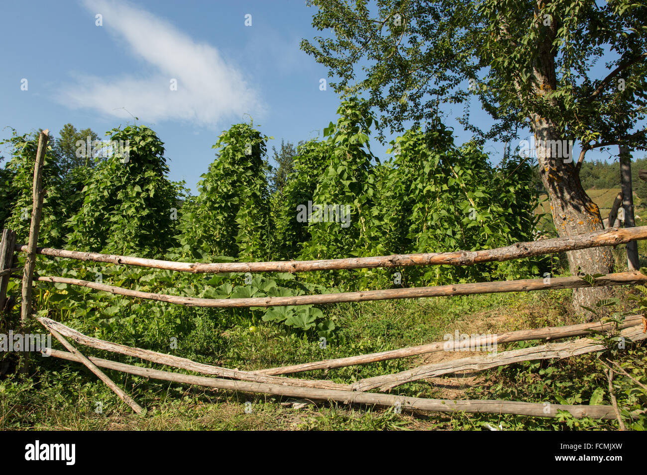 Fenced border hi-res stock photography and images - Alamy