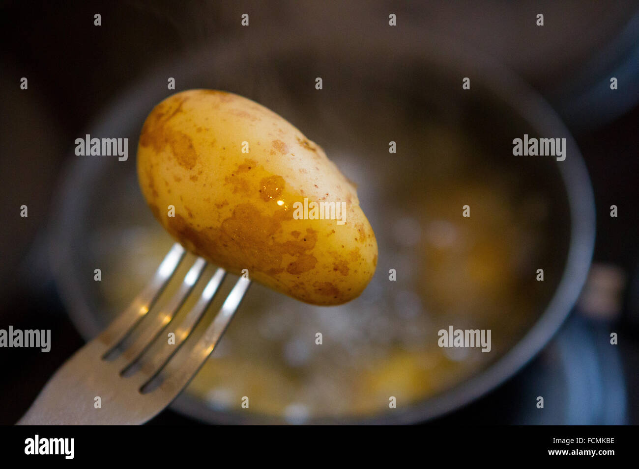 A boiled baby new potato steams on a fork over a pan of water. Stock Photo