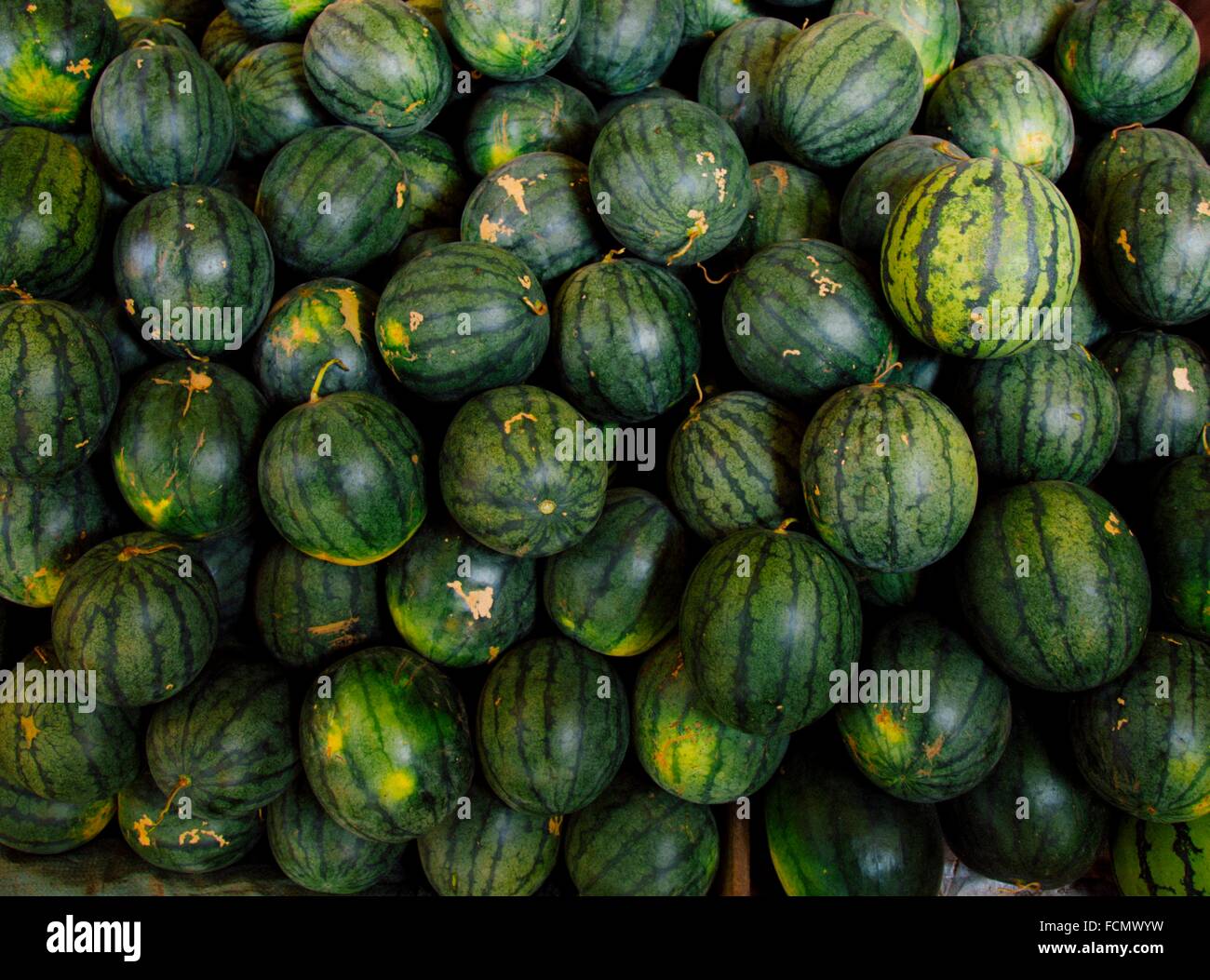 Big melon hires stock photography and images Alamy