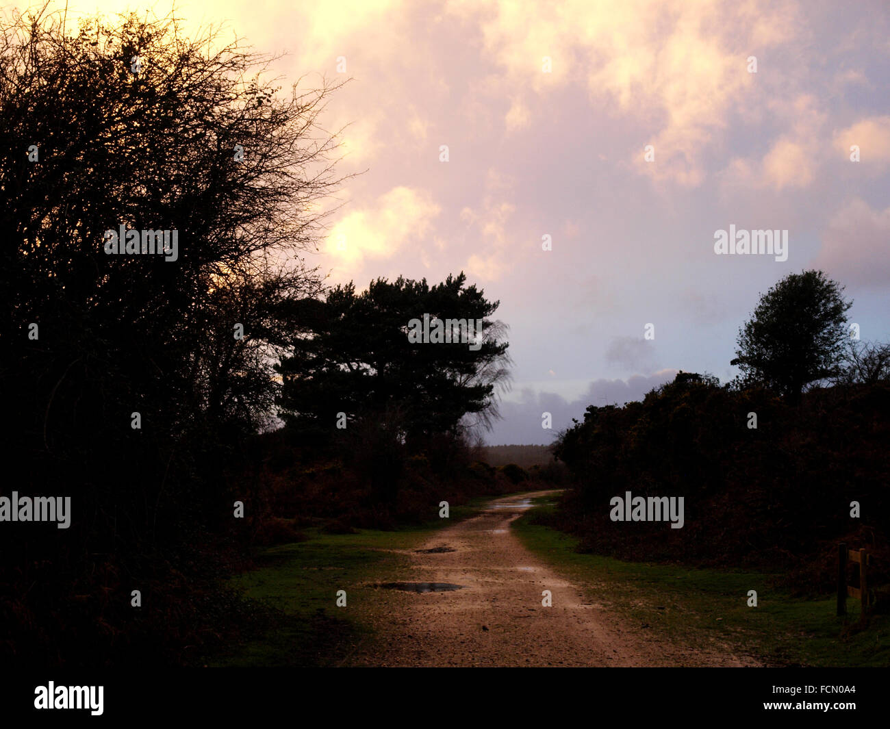 Multi use trail at sunset along a disused railway,The New Forest, Hampshire, UK Stock Photo