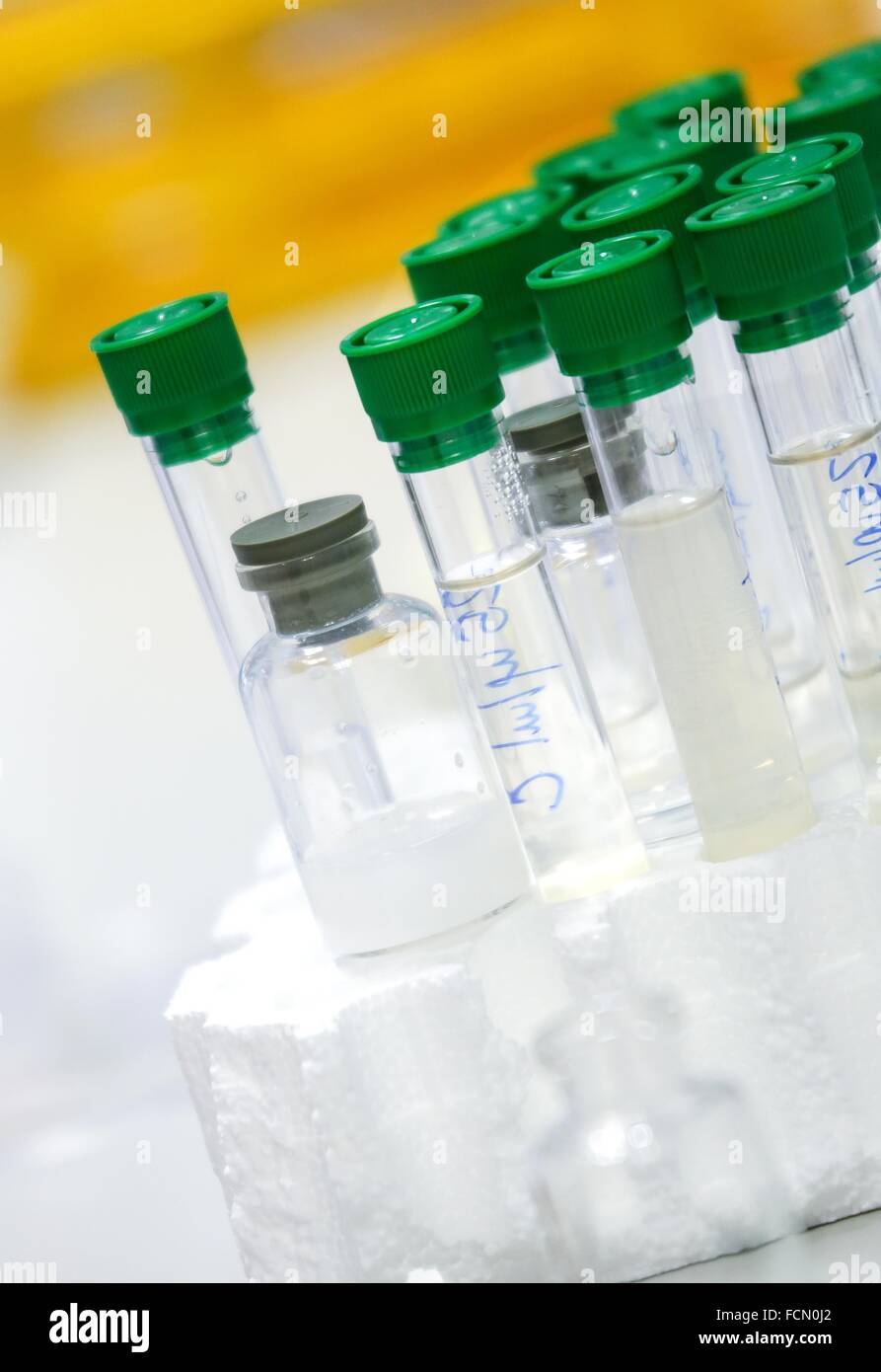 Samples. Biological test laboratory. Chemical Analysis Laboratory