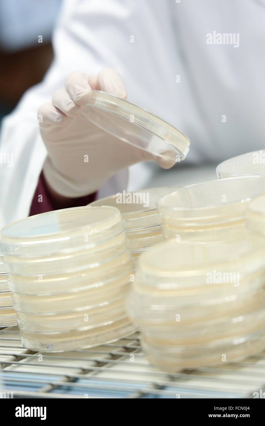 Samples. Biological test laboratory. Chemical Analysis Laboratory