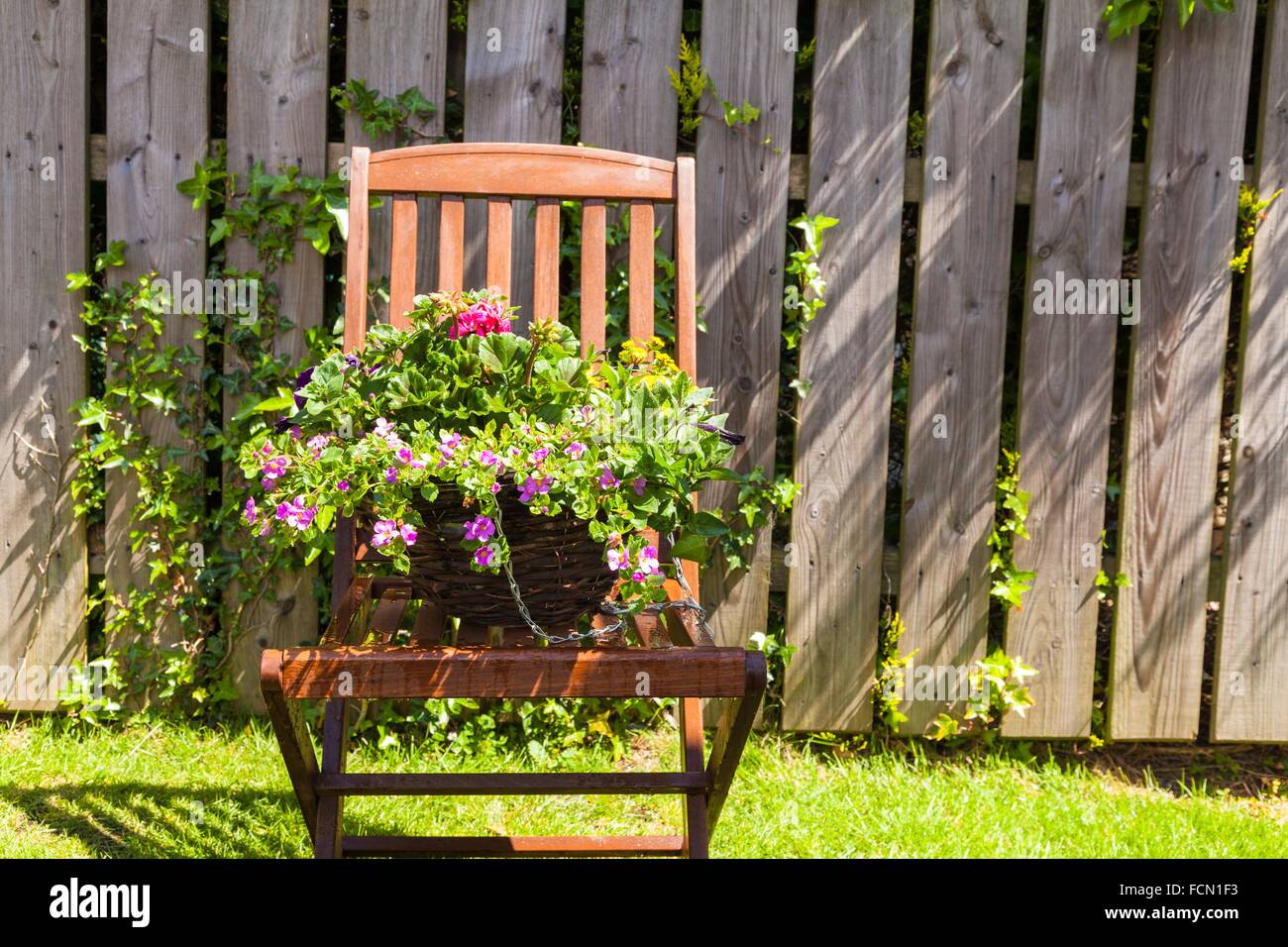 Hanging basket on a garden chair. Shooting date 05.06.15 Stock Photo