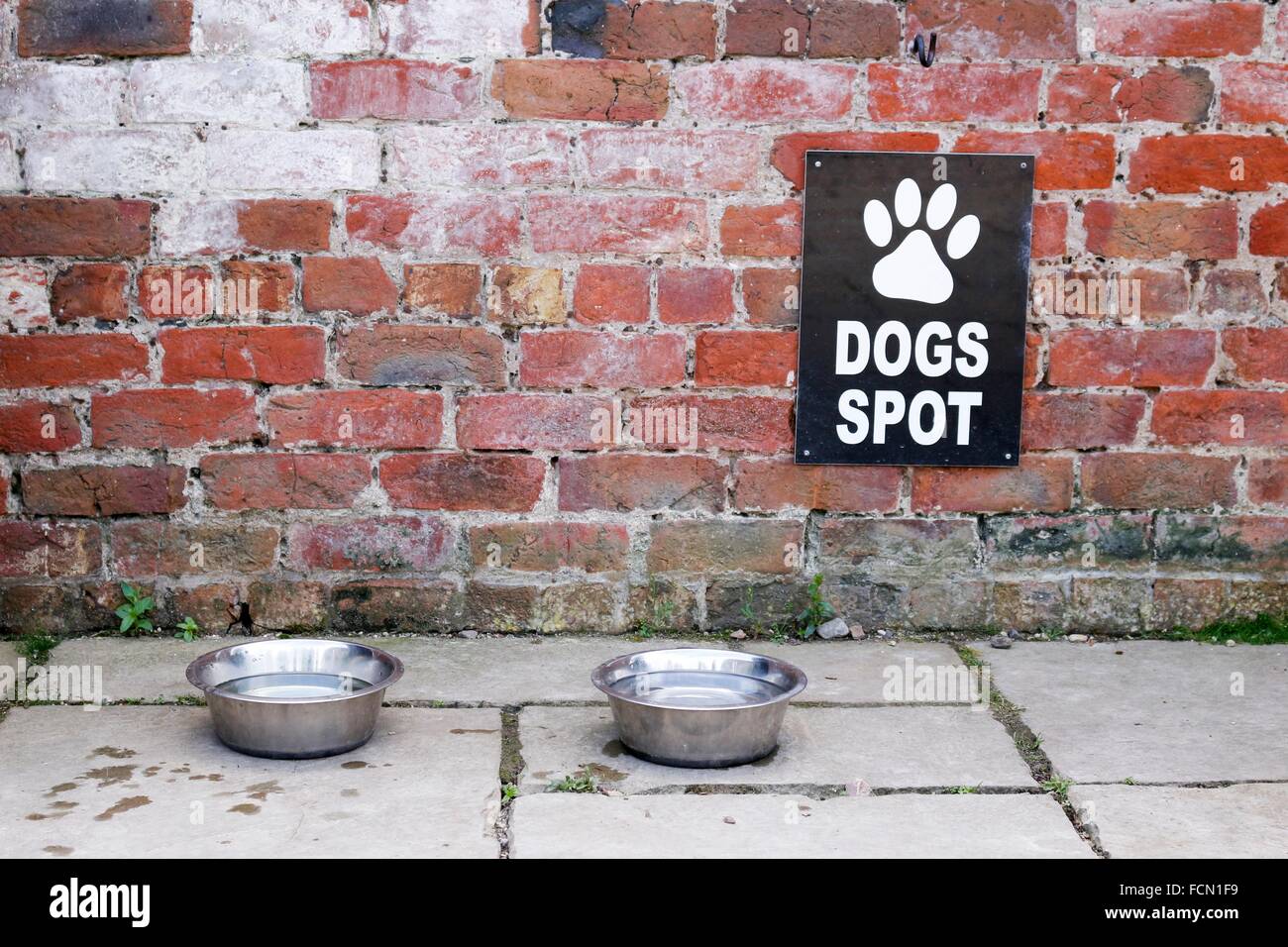 Dogs Spot with bowls of water for dogs to drink. Shooting date 27.06.15 Stock Photo