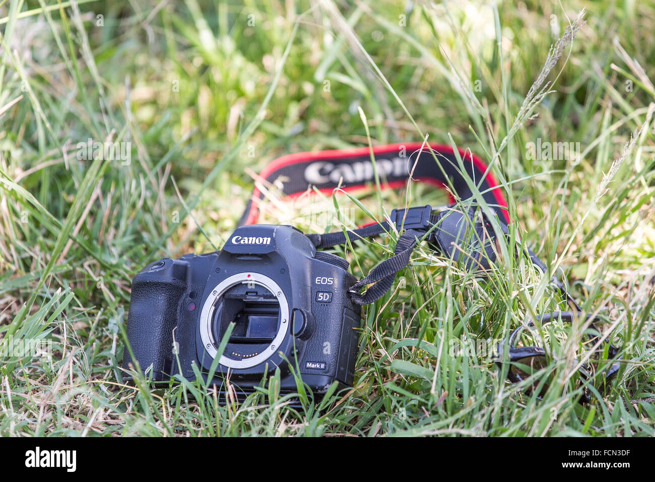 Canon 5d hi-res stock photography and images - Alamy