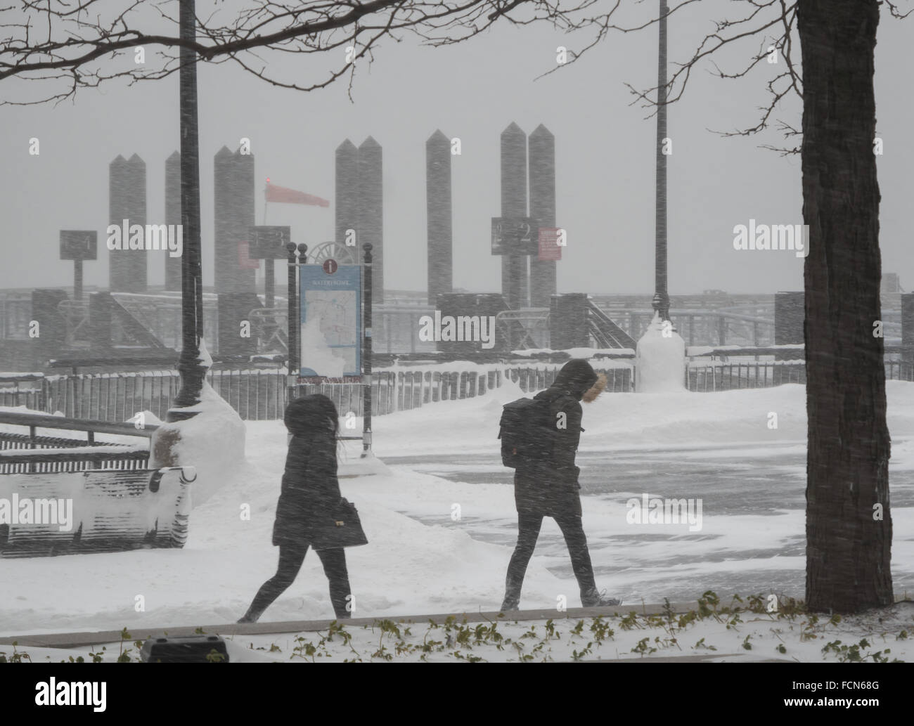 Jersey City, USA. 23rd Jan, 2016. People are still venturing out despite  the weather. Blizzard conditions along the North East coast have resulted  in a state of emergency being declard in many