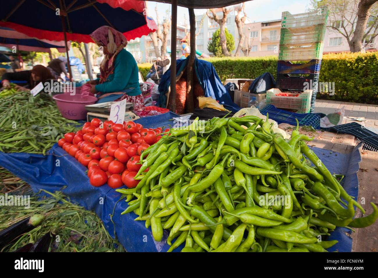 Stallholder surrounded by bags and luggage, apparently made by well known  brands, at the Saturday market, aka Berivan Market, Selcuk, Turkey Stock  Photo - Alamy