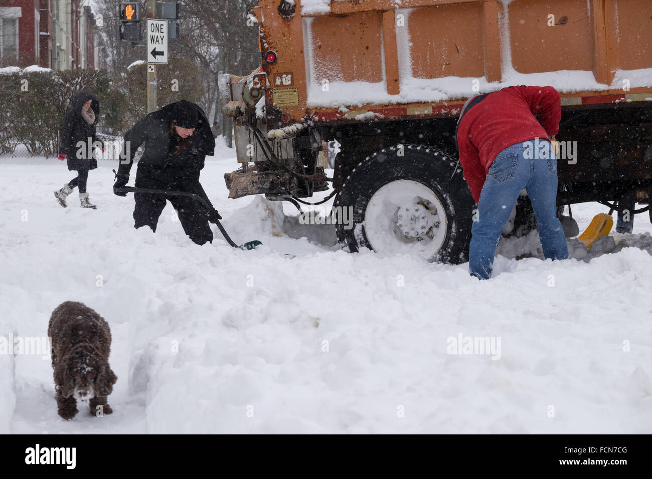 Washington DC, USA. 23rd January, 2016. Capitol Hill residents of Washington DC, USA, help a District of Columbia city snow plow truck that became stuck during a blizzard on 23 January 2016. The major winter storm hit the U.S. East Coast Saturday, bringing Washington and New York City to a standstill. At least eight people have died as a result of the blizzard, according to US media. Photo: Chris Williams/dpa Credit:  dpa picture alliance/Alamy Live News Stock Photo