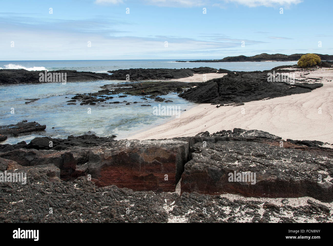 Seashore at Punta Albemarle Isabela Island Galapagos Islands Ecuador Stock Photo