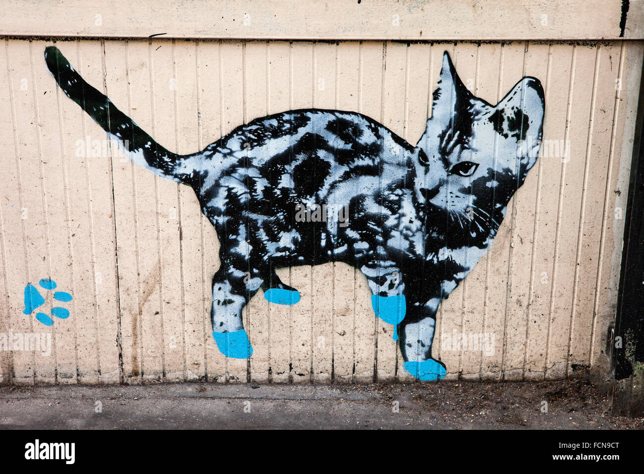 Street art stencil cat hires stock photography and images Alamy