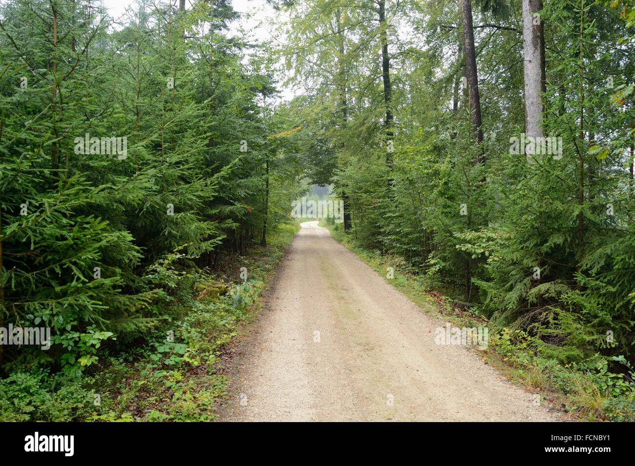 Taril hi-res stock photography and images - Alamy