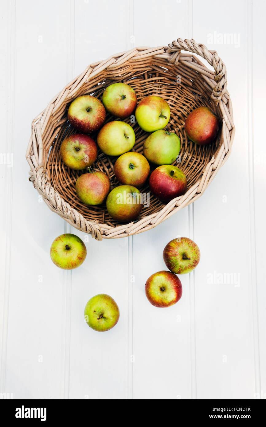 Apples variety Cox with willow basket Stock Photo Alamy