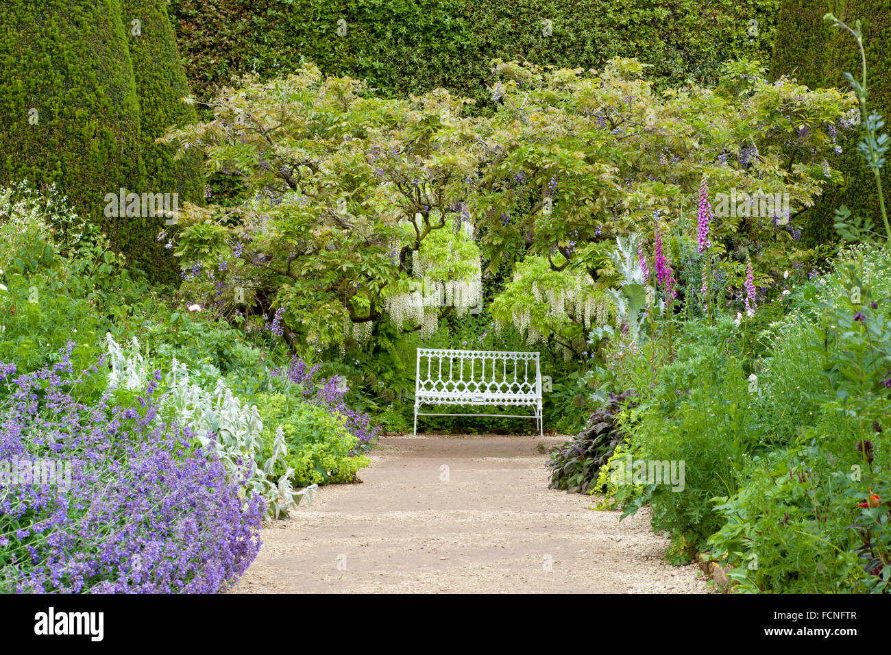 White metal bench under white fragrant wisteria tree at the end of stone pathway in summer garden with cottage flowers in bloom Stock Photo