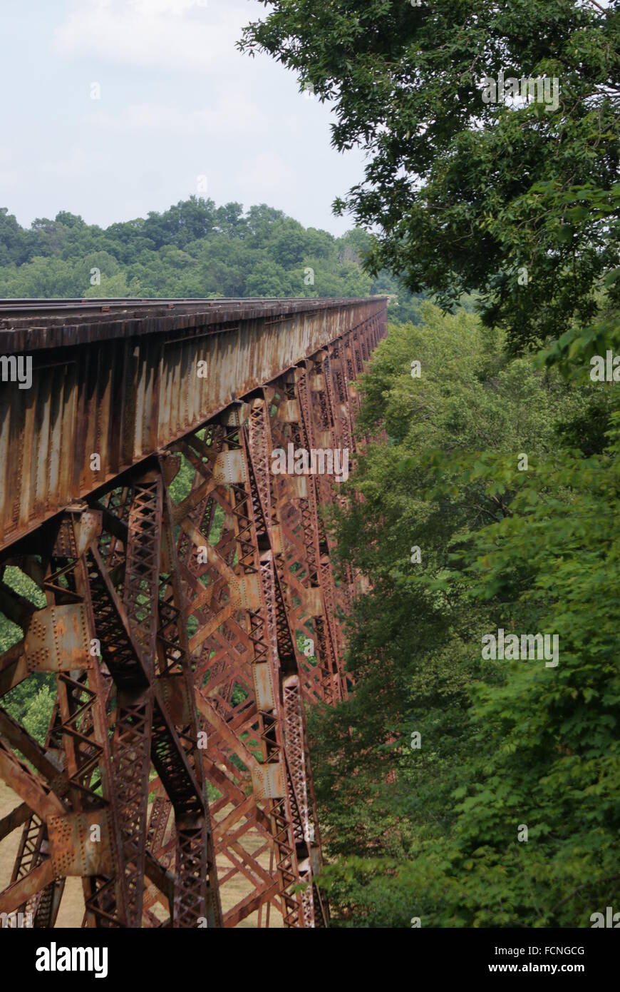 The tulip trestle also know as the Green Co. Viaduct. The longest
