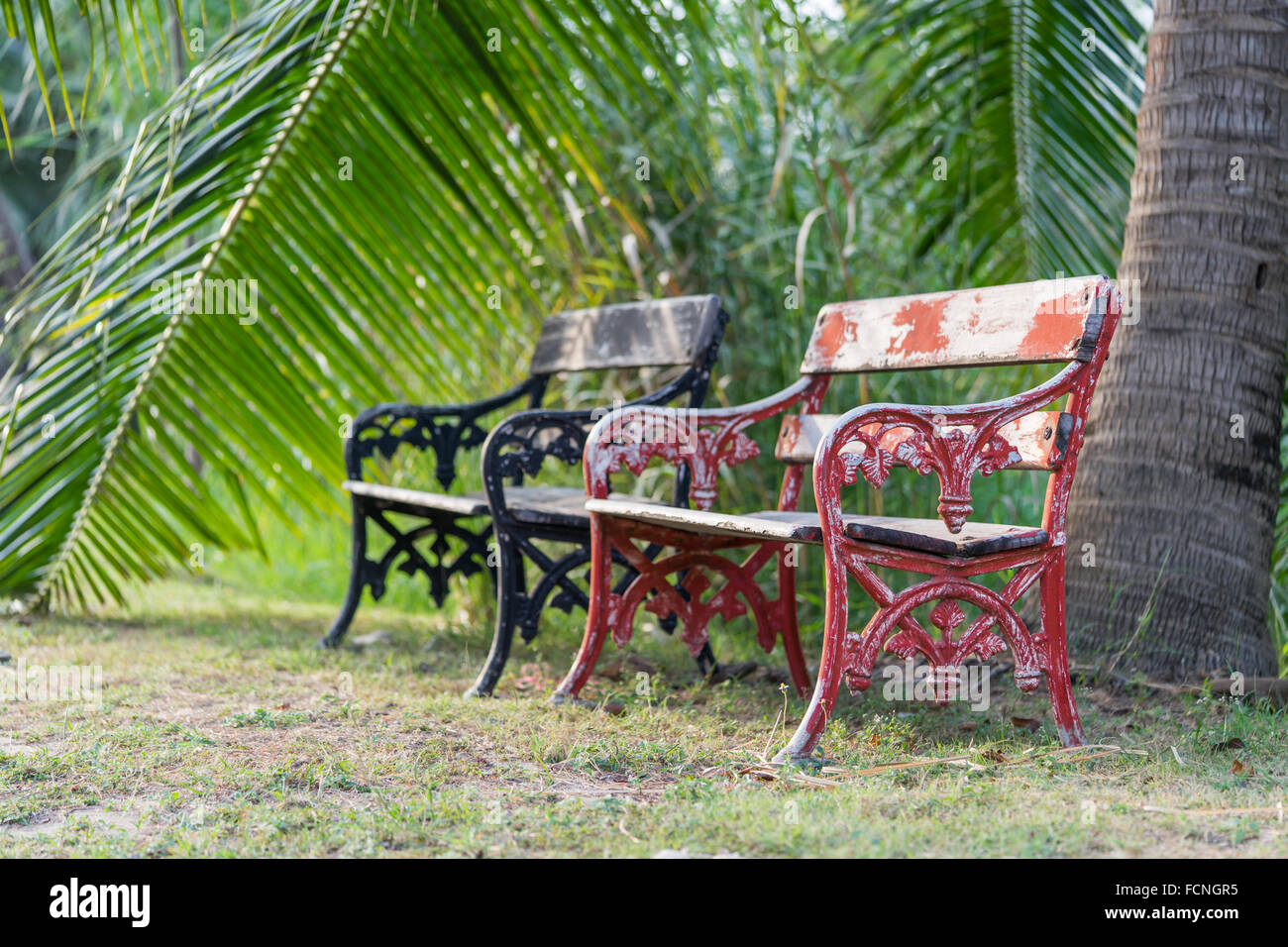 Old vintage red and black wooden benches in the park Stock Photo
