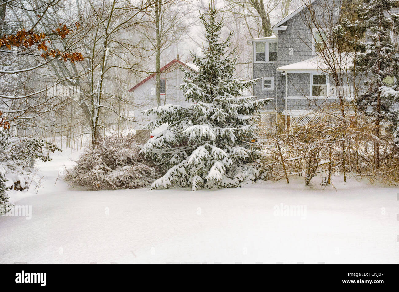 Chappaqua, New York, USA. 23rd January 2016. The first blizzard of 2016