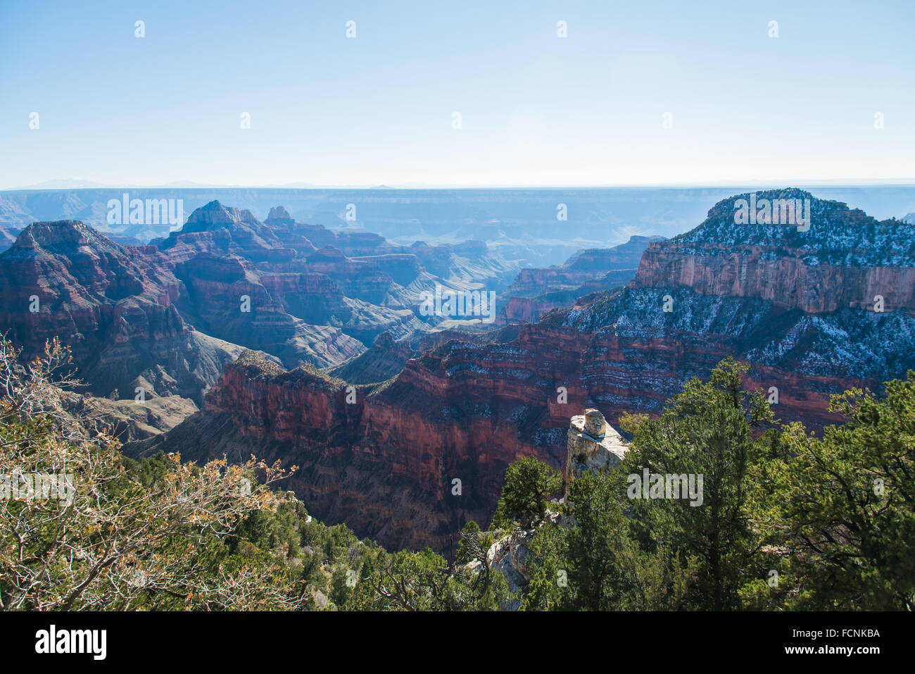 North rim Grand canyon view Stock Photo Alamy