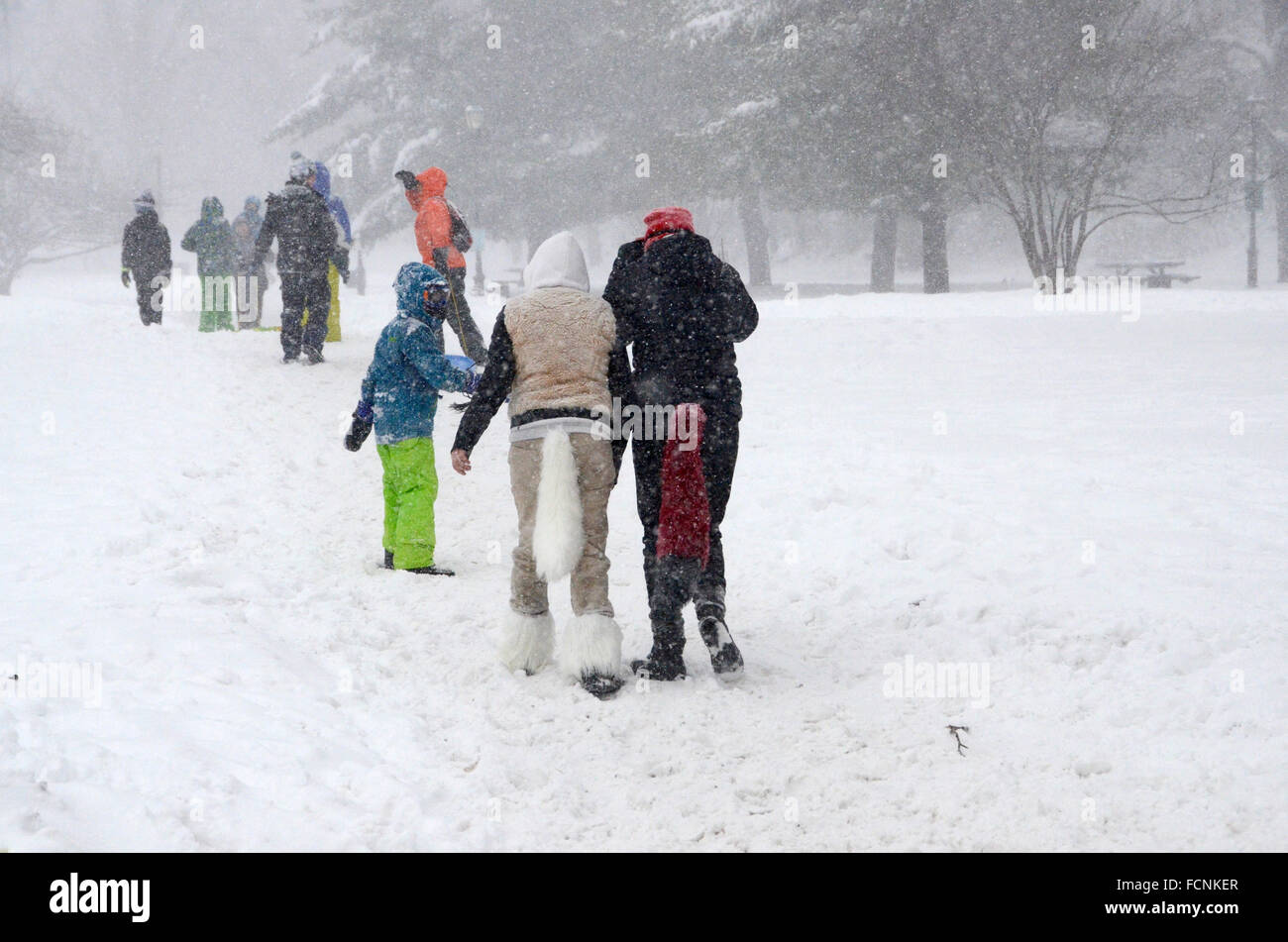 New York, USA. 23rd Jan, 2016. jonas snow storm new york brooklyn 2016