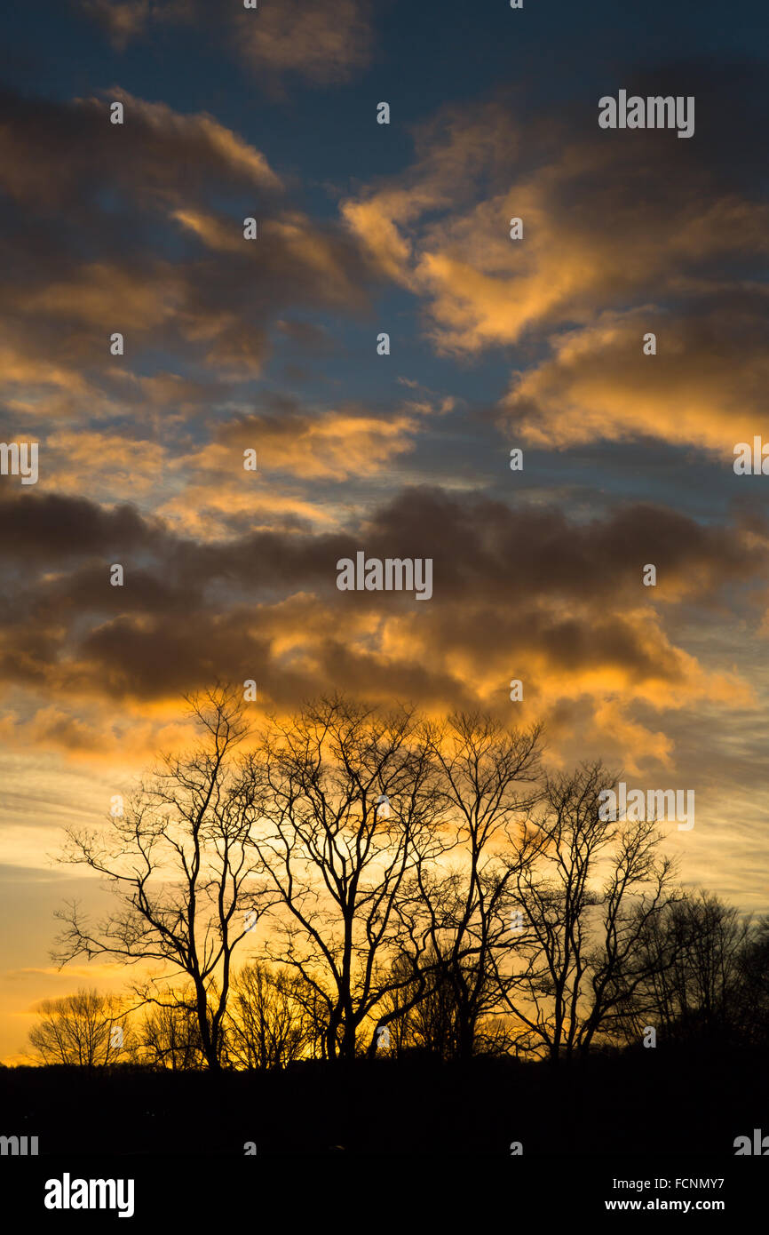 Sunrise over the Shincliffe countryside. Durham, England, UK Stock ...