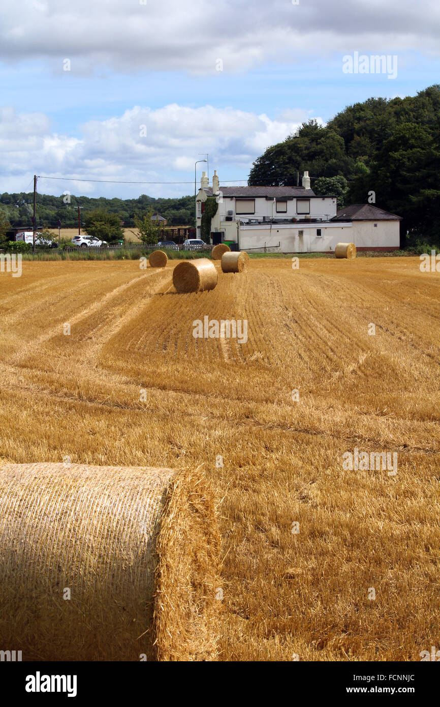 Rear view of The Rose Tree public house, Shincliffe, Durham, England
