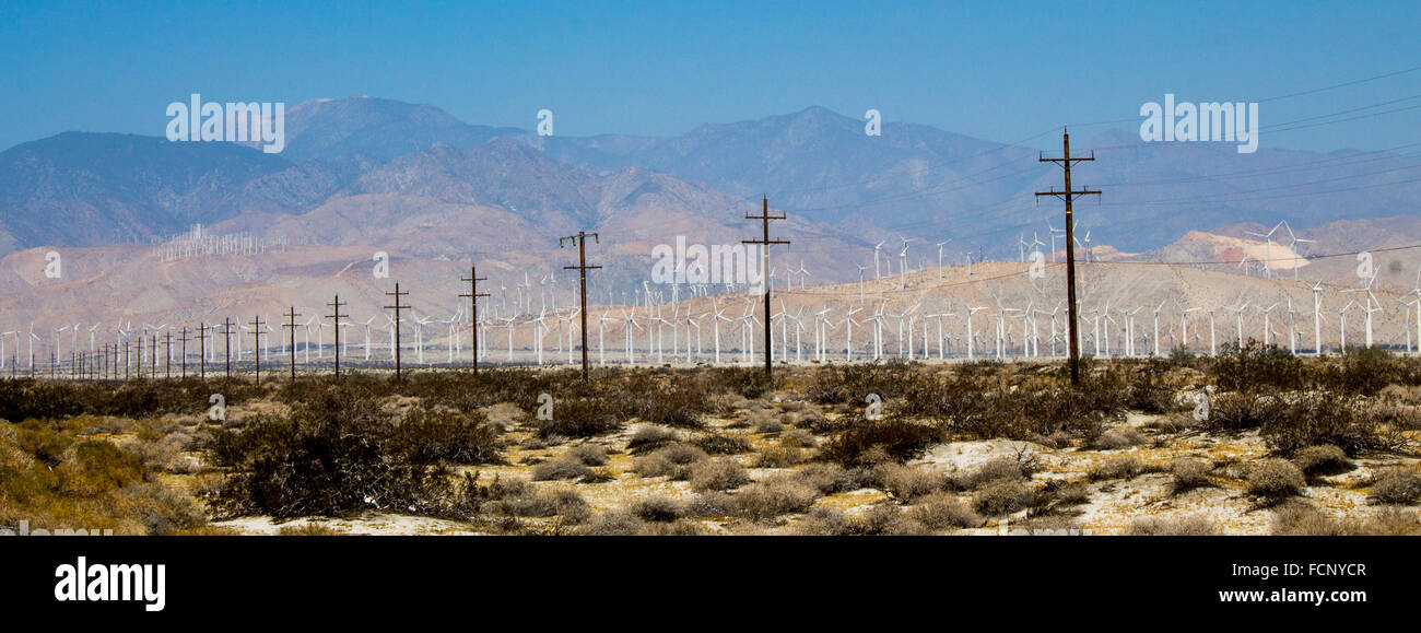 Telephone poles and windfarms near Palm Springs Stock Photo