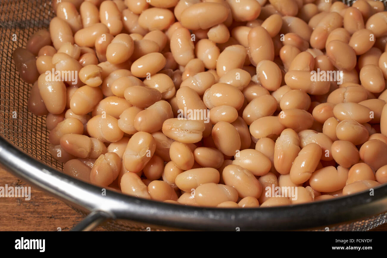 Navy beans hires stock photography and images Alamy