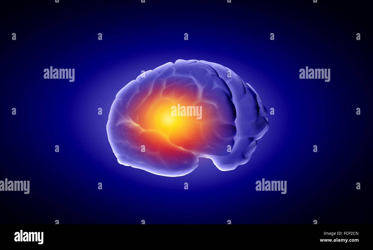 Concept of human intelligence with human brain on blue background Stock ...