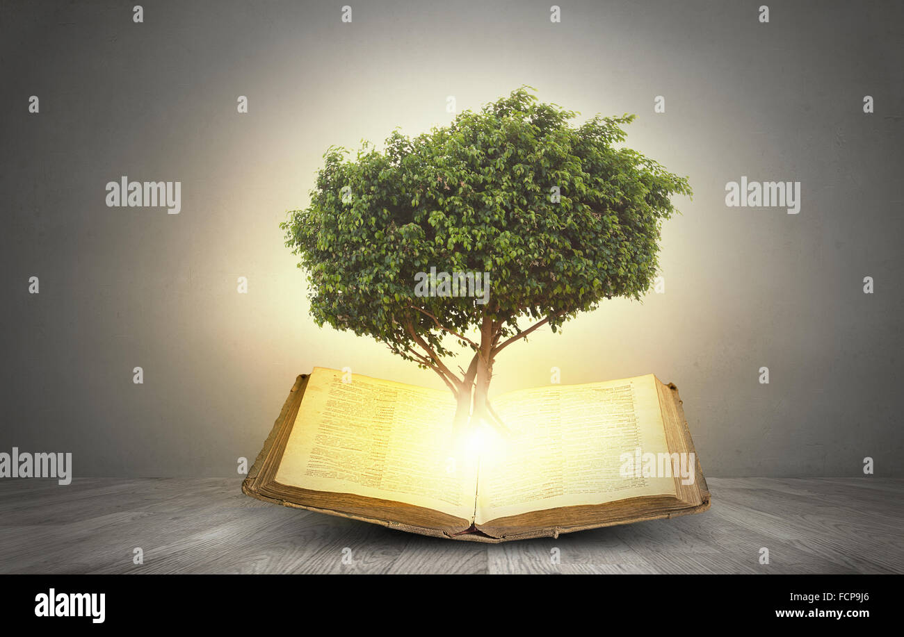 Conceptual image with green tree growing from book Stock Photo Alamy