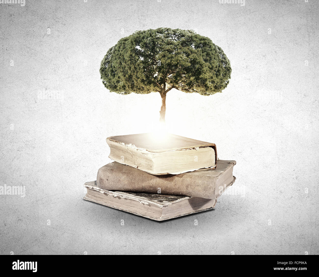 Conceptual image with green tree growing from book Stock Photo Alamy