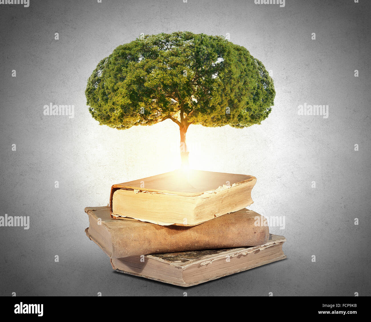 Conceptual image with green tree growing from book Stock Photo Alamy
