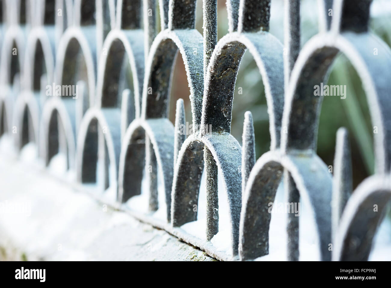 Abstract detail of an iron fence with frost. Shallow depth of field. This was a cold day with lots of moist in the air. Stock Photo