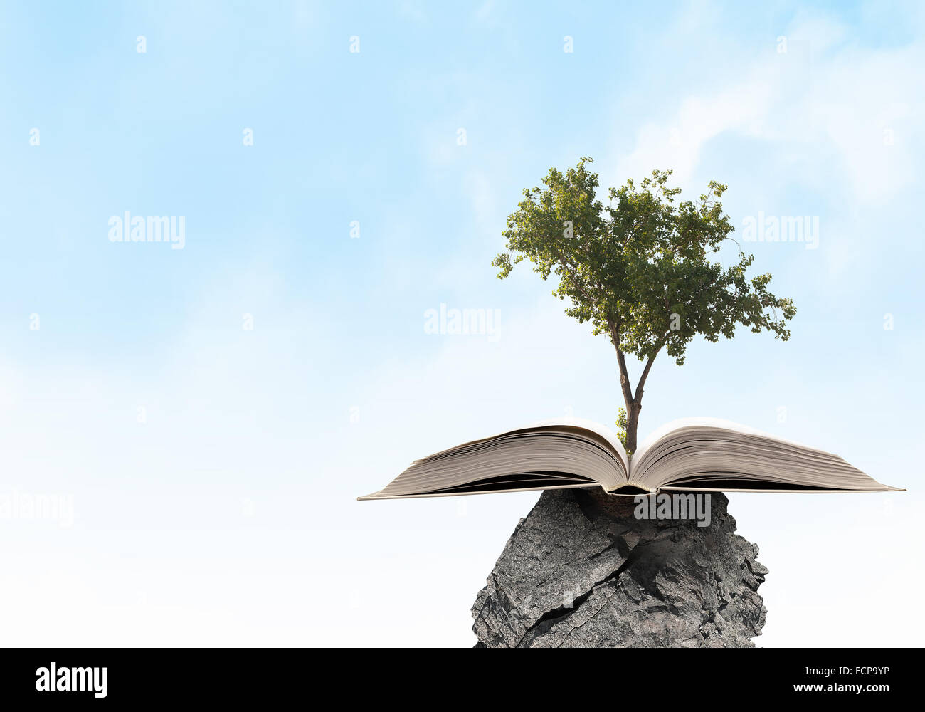 Conceptual image with green tree growing from book Stock Photo Alamy