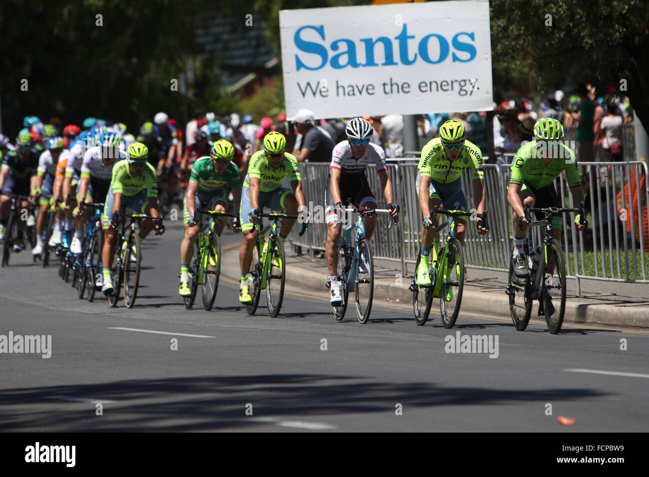 Adelaide, Australia. 24th January 2016.  Tinkoff team lead out the peleton during Stage 6 of the Santos Tour Down Under on 24 January, 2016 in Adelaide, Australia. Credit:  Peter Mundy/Alamy Live News Stock Photo