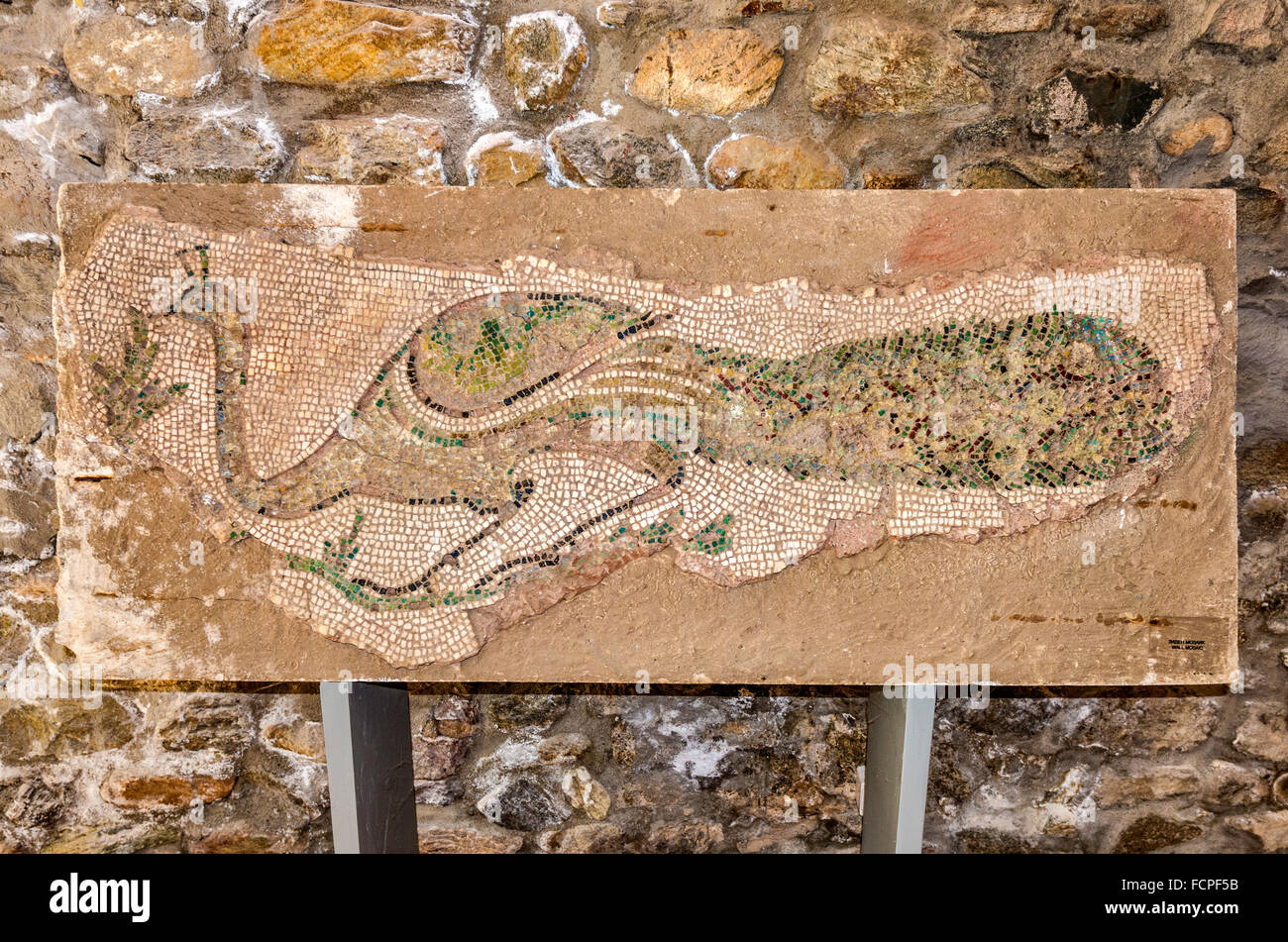 Wall mosaic, museum at Heraclea Lyncestis, ancient Greek and Roman city