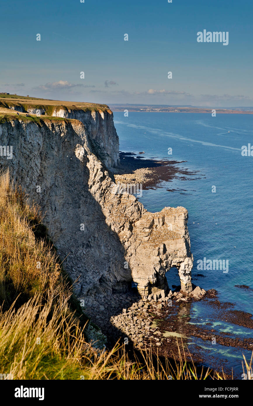 Bempton Cliffs; Arch and Shore; Yorkshire; UK Stock Photo