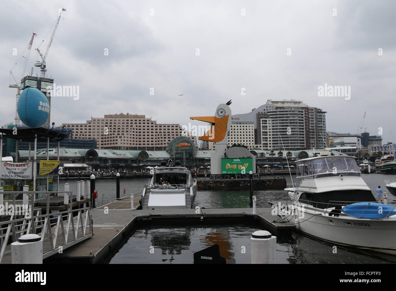 Ahead of the Australia Day celebrations in Darling Harbour, what appears to be some sort of giant white bird has appeared. Stock Photo