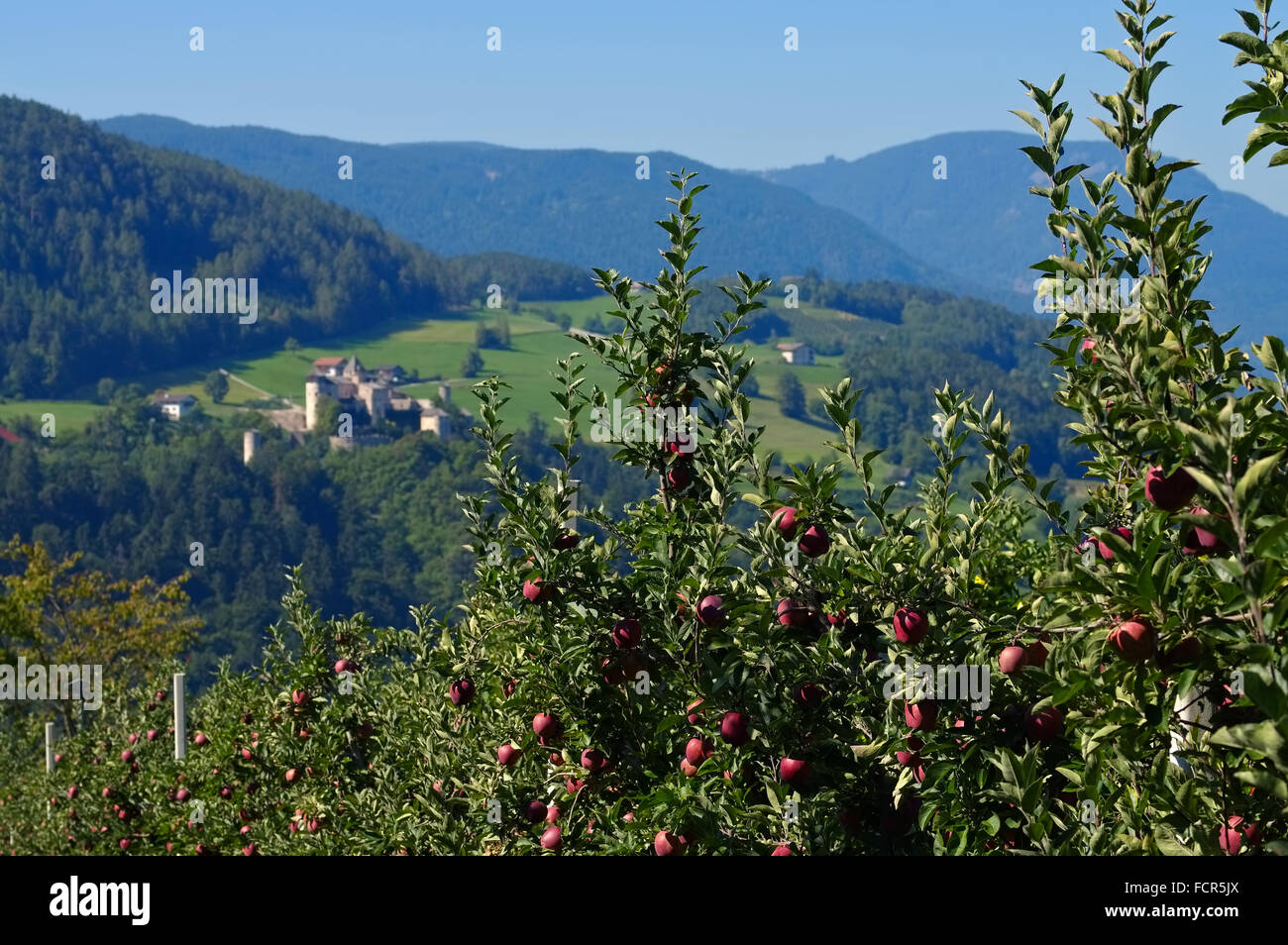 Proesels Schloss in den Dolomiten - Proesels castle in italian Dolomites Stock Photo