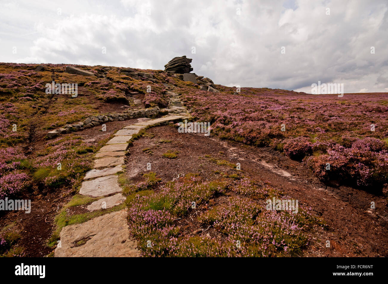 Path leading along Cartledge Stones Ridge, heading for Back Tor in the Peak District National Park. Stock Photo