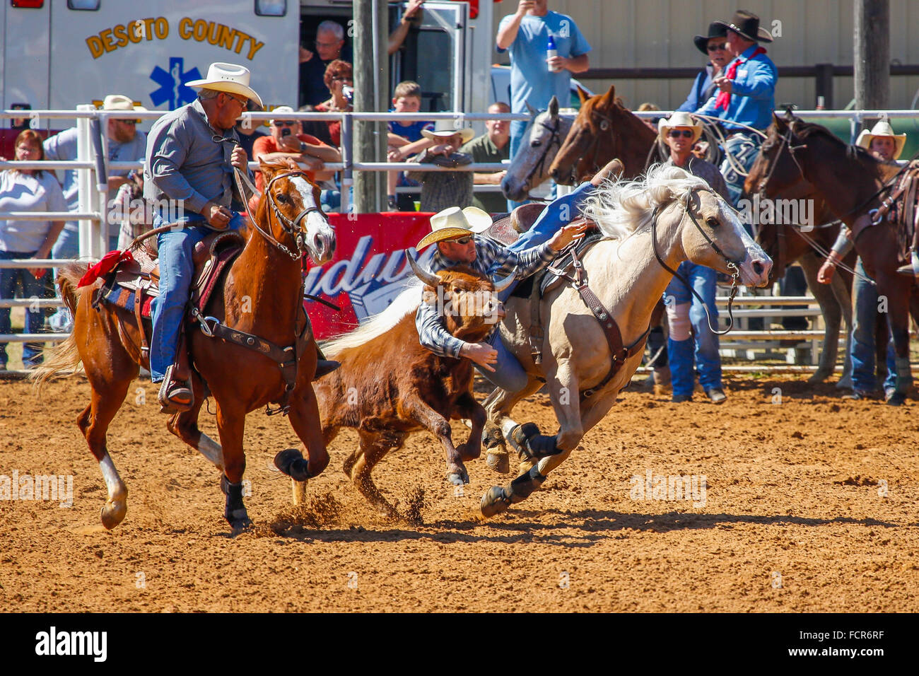 Arcadia AllFlorida Championship P.R.C.A. Rodeo held in the