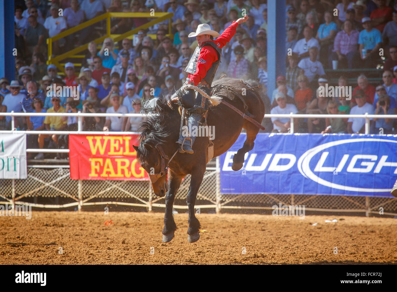 Arcadia All-Florida Championship P.R.C.A. Rodeo held in the southwestern Florida town of Arcadia Stock Photo