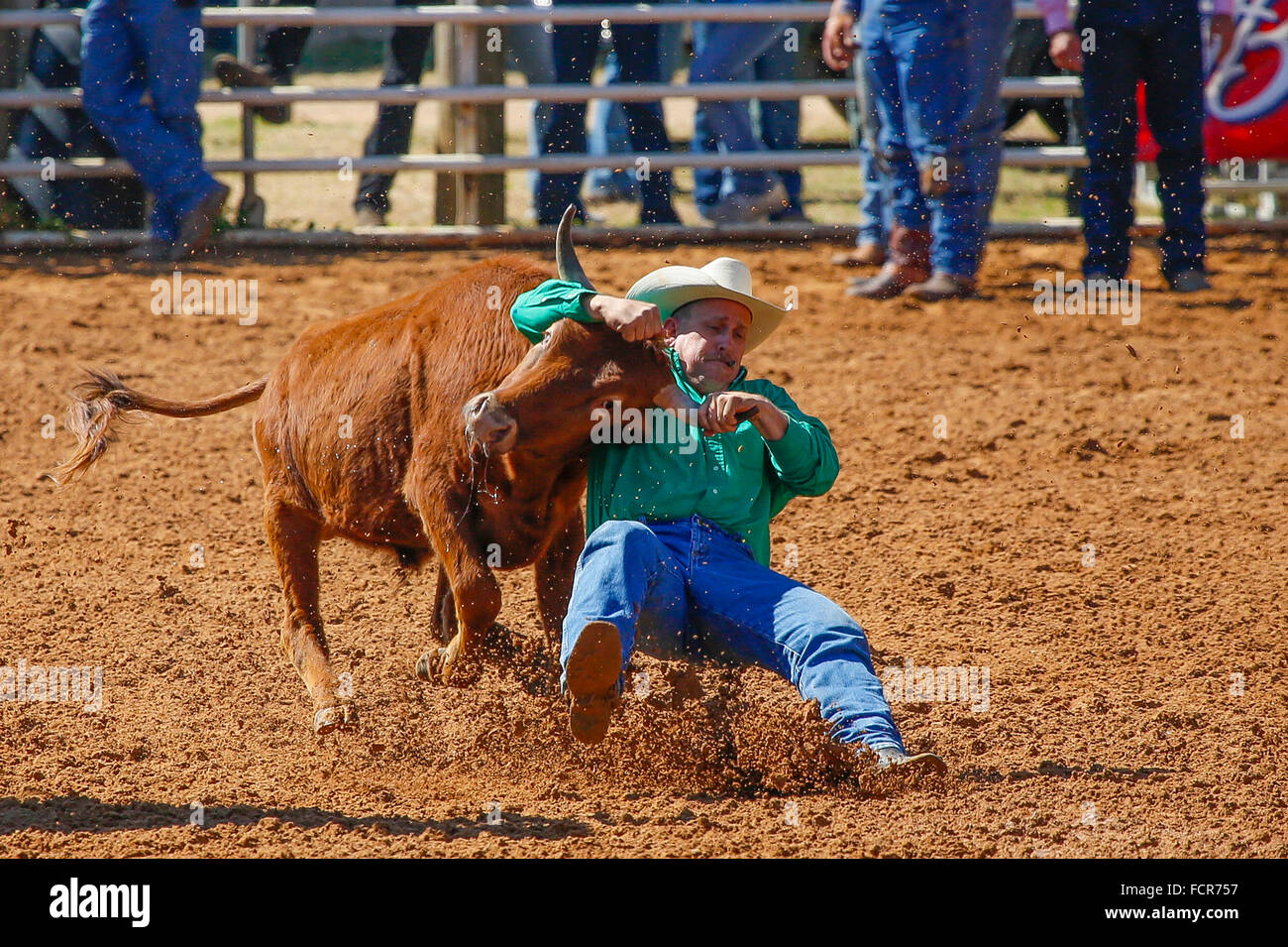 Arcadia AllFlorida Championship P.R.C.A. Rodeo held in the