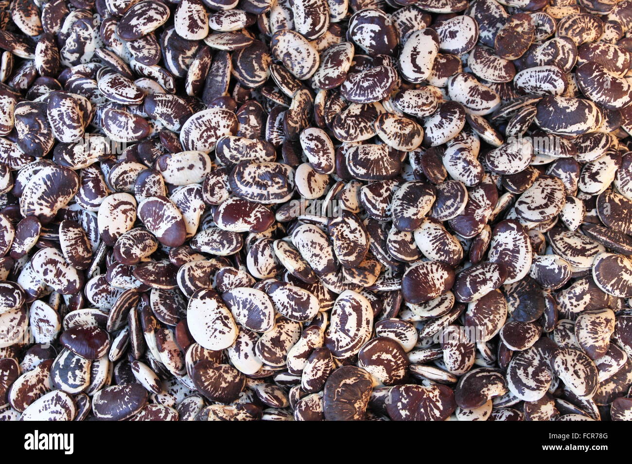 Pinto beans for sale in a grocery store Stock Photo