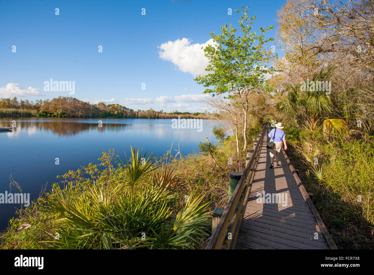 Boardwalk in Six Mile Cypress Slough Preserve in Fort Myers Florida