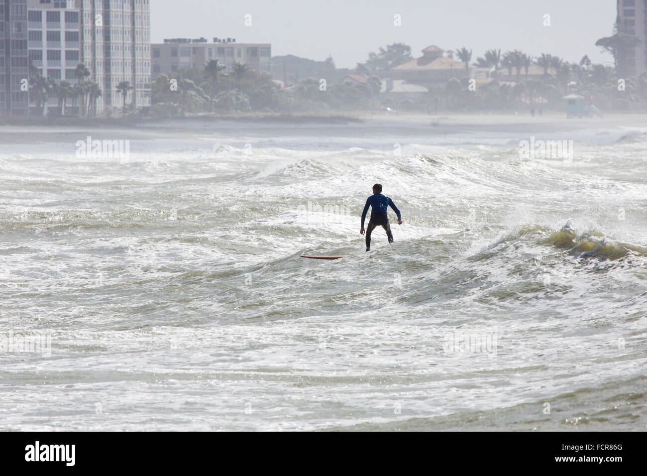Lone surfer in rough water waves off Venice Beach in the Gulf of Mexico
